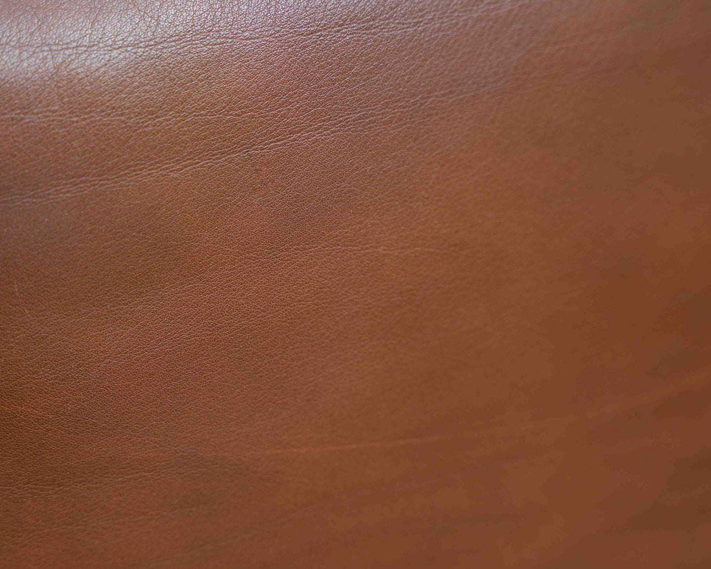 Ledersessel, 70er Jahre, Hersteller Sitag, cognacbraunes Leder.