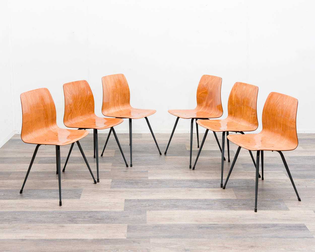 Ensemble de 6 chaises Pagholz au design bicolore, édition Pag Presswerke.